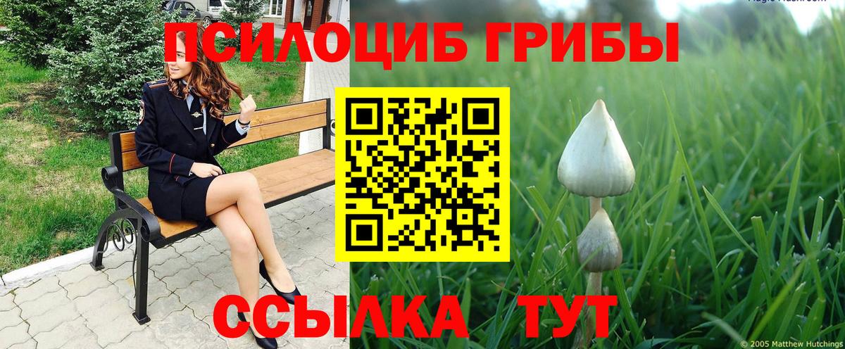 Псилоцибиновые грибы Psilocybine cubensis Казань